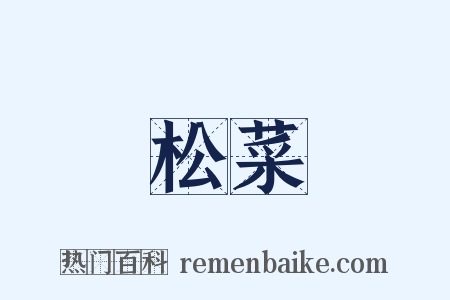 松菜是什么意思的图片